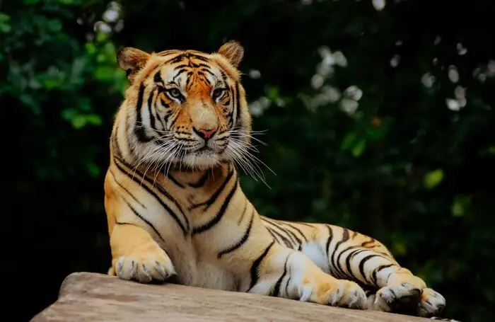 Zoo Eberswalde – Ausflugsziel für Familien nahe Joachimsthal